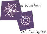 Snowflake example